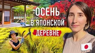 Осенняя рутина в японской деревне! Наша жизнь вдали от Токио