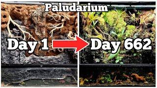 DIY Paludarium How To Update