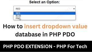 How to insert dropdown value database in PHP PDO ||  save dropdown value database in PHP PDO