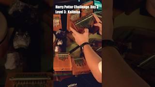 Harry Potter / Kalimba / Dubai / www.shamanic.ae