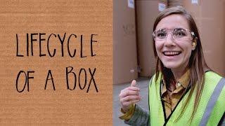 How Corrugated Boxes are Made