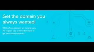 Bulk Domain Registration