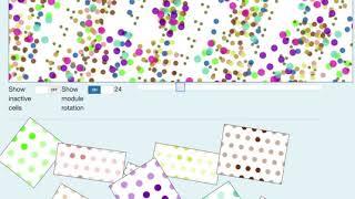 grid cell module prototype visualizations