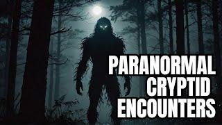 Livestream #265 - Strange Paranormal/Cryptid Encounters