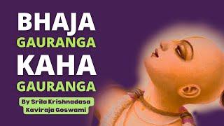 Bhaja Gauranga Kaha Gauranga | Monks in Mayapur | Navadvip Mandal Parikrama