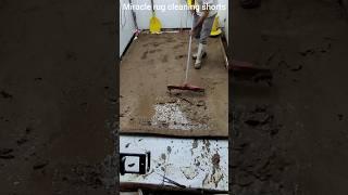 Cleaning the dirtiest carpet in the world, the hottest ASMR carpets in 2024