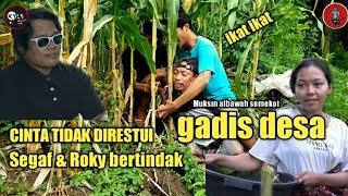 komedi lucu lombok terbaru Muksin semekot " Cinta tidak direstui " #muksinsalbawah#muksin