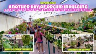 Day 2 of orchid fun at one of the largest orchid growers in Florida. Plus bonus highlights ending.