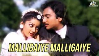 Malligaiye Malligaiye | Periya Veetu Pannakkaran Movie Songs | K. S. Chithra, K. J. Yesudas