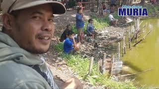 LOMBA MANCING HUT RI KE 79 TIKET 100 RIBU  ||| WARUNG MAKAN KALINYAMATAN JEPARA