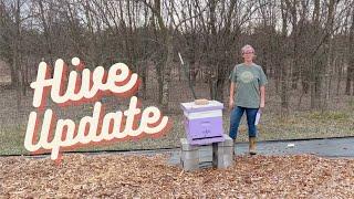 Nonsense Farm: Hive Update March 5 2022