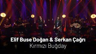 Elif Buse Doğan & Serkan Çağrı Kırmızı Buğday