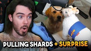 PULLING SACREDS for the Wixwell Summon Rush... PLUS A SURPRISE!! | Raid: Shadow Legends