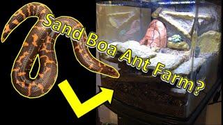 What is a Sand Boa Ant Farm?????