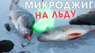 Ловля окуня на микроджиг со льда / зимняя рыбалка в 2021 в Беларуси