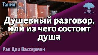 Душевный разговор, или из чего состоит душа. Рав Цви Вассерман