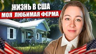 МОЯ ФЕРМА В США  #жизньвсша #ферма #деревнясша