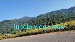 jungle vlog video#Bimu Entertainment#jungle Vlog