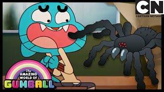 O Encontro | O Incrível Mundo de Gumball | Cartoon Network 