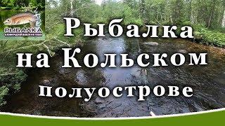 Fishing on the Kola Peninsula. Trout in the Murmansk region. August 2019