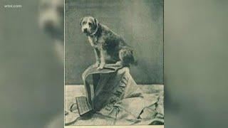 Toledo marks last stop for famous railroad dog