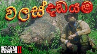 වලස් දඩයම| Red Dead Redemption 2 Mission #10 Complete Walkthrough| RDR 2 Bear Location| LK