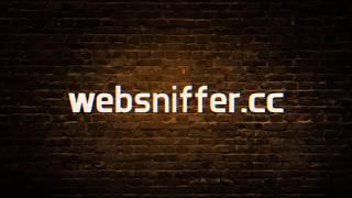 View HTTP Request and Response Headers Online with WebSniffer