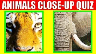 Guess the Animal from Close up Picture | Guess the Animal Game for Kids, Preschoolers and Toddlers