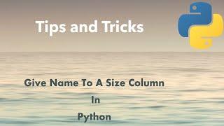 Python Tip: How to Label Size Column In Python