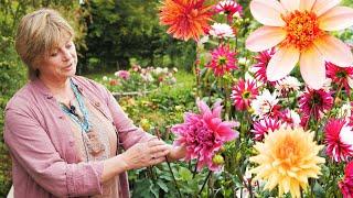 Sarah Raven - How to grow dahlias | Good Housekeeping UK