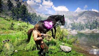 ARTHUR CATCH A BEAUTIFUL CHAROITE HORSE - RDR2 | GAMEPLAY