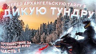 РЫБАЛКА ЗА ПОЛЯРНЫМ КРУГОМ. Через Архангельскую ТАЙГУ в ТУНДРУ Ненецкого АО. Канин Нос Часть 1.