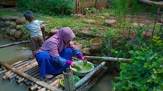 Panen daun kenikir | Menanam Ubi Cilembu Masak gulai kenikir  | Hidup di Desa