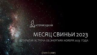 Месяц Свиньи, ноябрь 2023, прогноз, тенденции для элементов личности, неблагоприятные даты