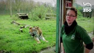 Animal Experiences at Blackpool Zoo