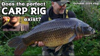 Does the perfect CARP rig exist? - October 2024 CARP FISHING vlog