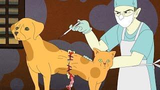 SCIENTIFICALLY ACCURATE™: CATDOG