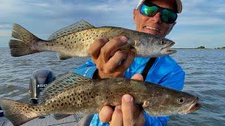 Lake FULL of Summer Specks + More! (Catch & Cook)