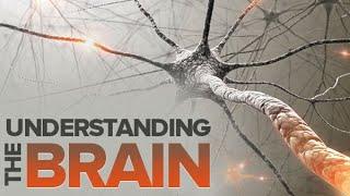 The Great Courses - Understanding the Brain (Part 1)
