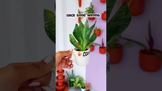 Hack Gone Wrong???  #diy #craft #plants #art