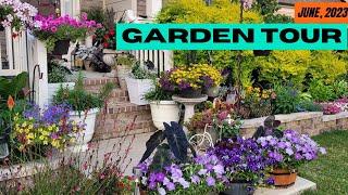 Early Summer (June) 2023 Garden Tour | Perennial Garden | Front Yard Makeover with Long Blooms