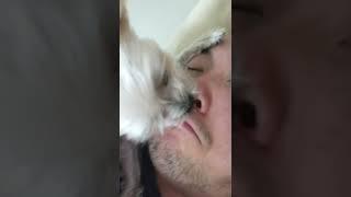 more delicious nose licking ASMR