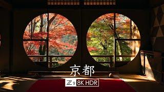 [8K HDR] Autumn in Kyoto | Nikon Z9  | Links