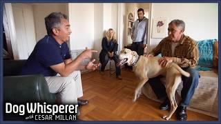 Can Cesar Calm This Aggressive Rescue Dog? | S4 Ep 11 | Dog Whisperer With Cesar Millan