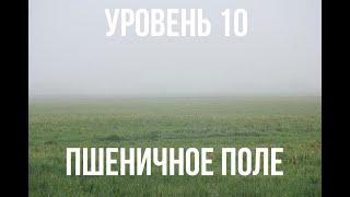 Backrooms | Уровень 10 "Пшеничное Поле"