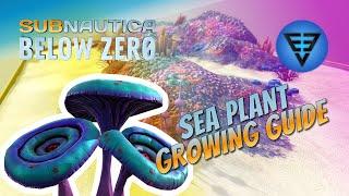 Where to find Sea Plants - Farming Guide Subnautica Below Zero