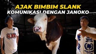 AJAK SELURUH KELUARGA BIMBIM SLANK TOUR KELILING DEHAKIMS..!