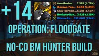 4.72M DPS with NO COOLDOWN BUILD? | Operation: Floodgate +14 Week 2 | BM Hunter PoV