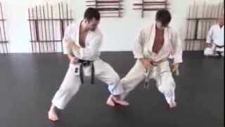 front leg sweep - karate