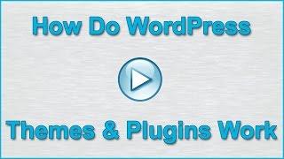 How Do WordPress Themes & Plugins Work